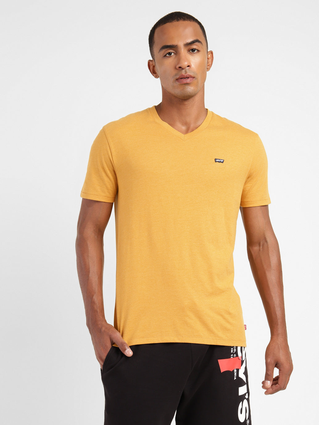 Men's Solid V Neck T-shirt