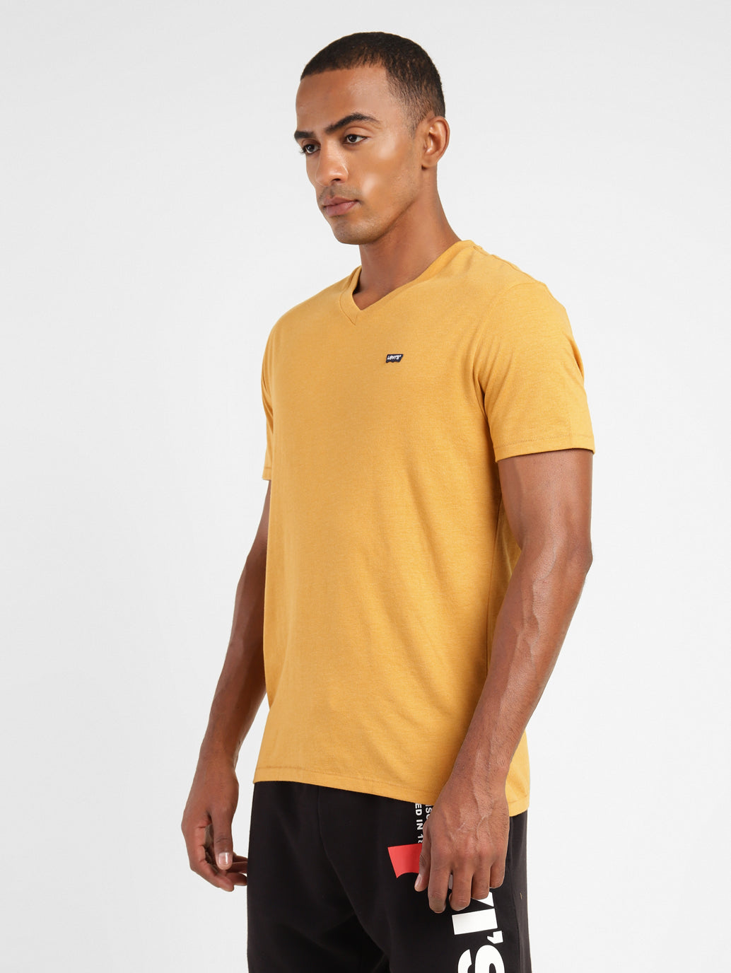 Men's Solid V Neck T-shirt