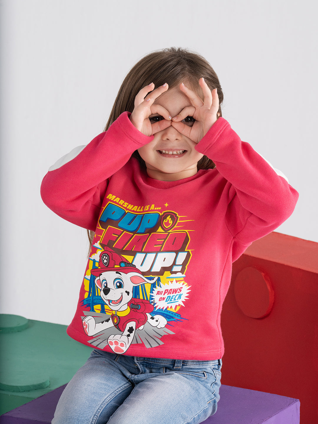 Chest Printed Paw Patrol Pink Sweatshirts