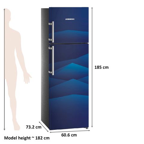 LIEBHERR 346 Litres 3 Star Frost Free Double Door Refrigerator with Forced Air Cooling (TCB 3540, Blue Landscape)