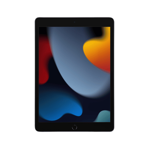 Apple iPad 9th Generation Wi-Fi (10.2 Inch, 256GB, Space Grey, 2021 model)