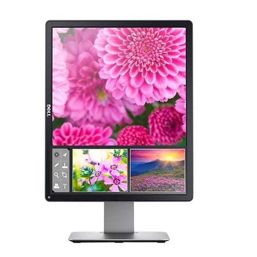 DELL P1917S Professional 19 Inch 60Hz 6MS IPS Monitor