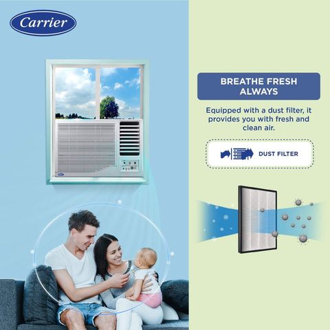 Carrier ESTRELLA Ex 1 Ton 3 Star Window AC (2024 Model, Copper Condenser, Dust Filter, CAW12EC3R34F0)