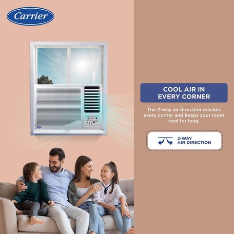 Carrier ESTRELLA Ex 1 Ton 3 Star Window AC (2024 Model, Copper Condenser, Dust Filter, CAW12EC3R34F0)