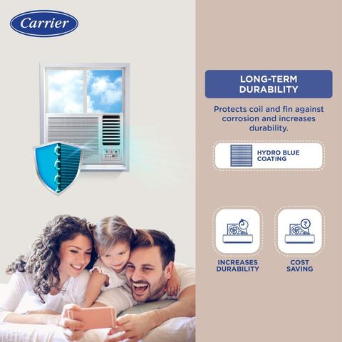 Carrier ESTRELLA Ex 1 Ton 3 Star Window AC (2024 Model, Copper Condenser, Dust Filter, CAW12EC3R34F0)