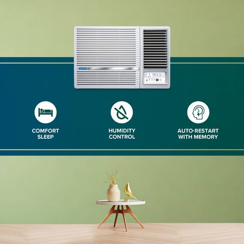 Blue Star L Series 1.5 Ton 3 Star Inverter Window AC (2024 Model, Copper Condenser, Dust Filter, WID318L)