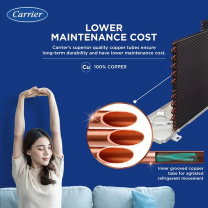 Carrier Ester Neo Plus Exi 6 in 1 Convertible 1 Ton 3 Star Inverter Split AC with Auto Cleanser (2024 Model, Copper Condenser, CAI12ER3R34F0)