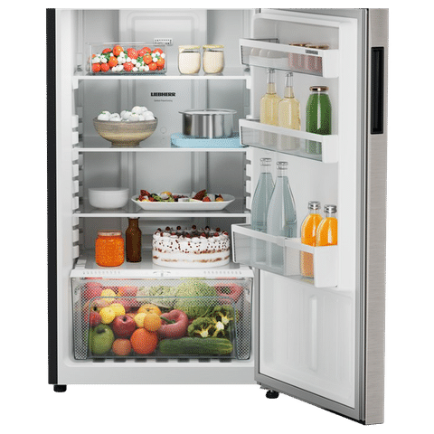 LIEBHERR Pure 245 Litres 2 Star Frost Free Double Door Refrigerator with Antibacterial Gasket (TCPgsB 2411, Grey Steel)