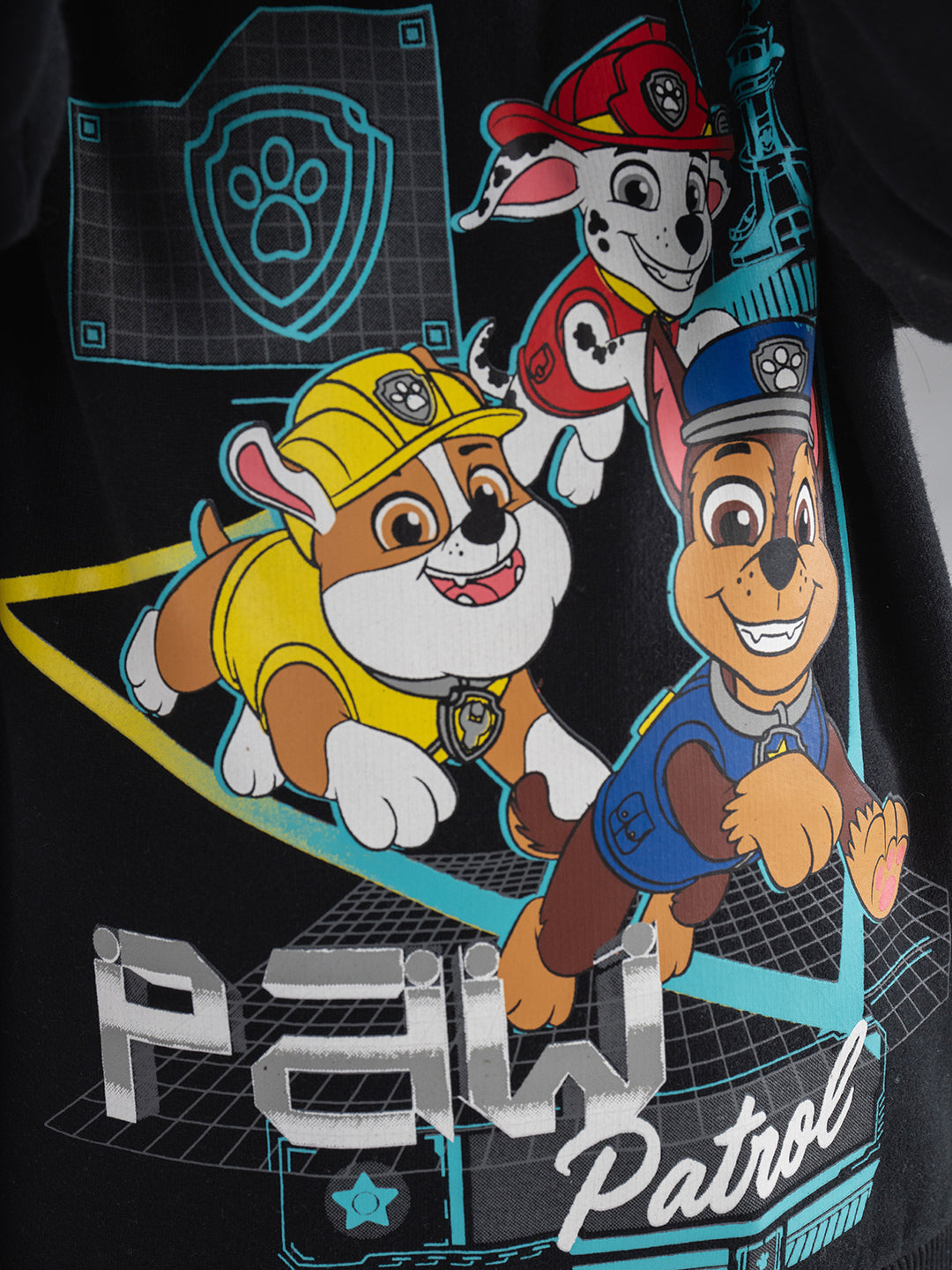 Paw Patrol Playful Printed Sweatshirt