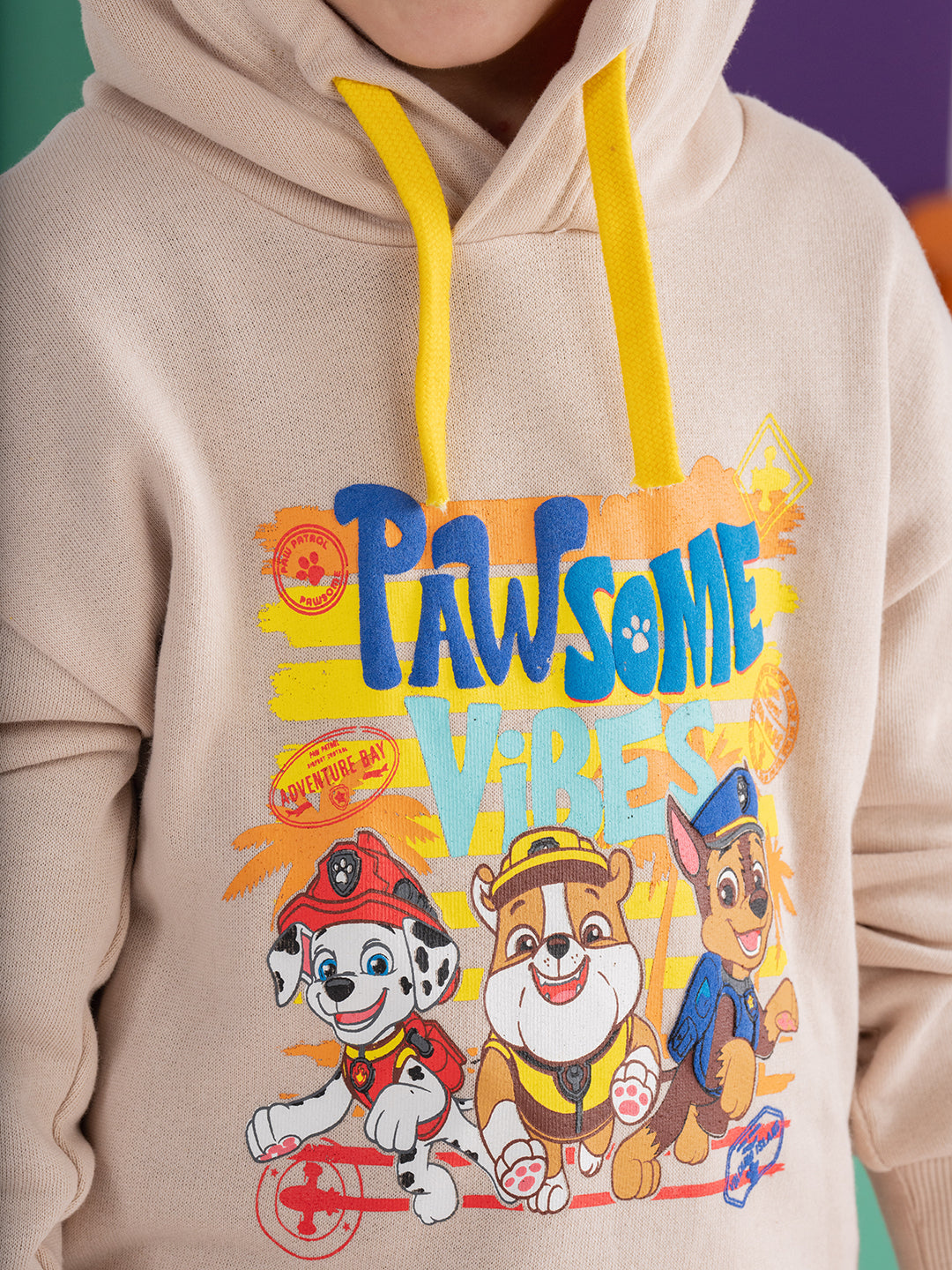 Paw Patrol Puff Printed Hoodie