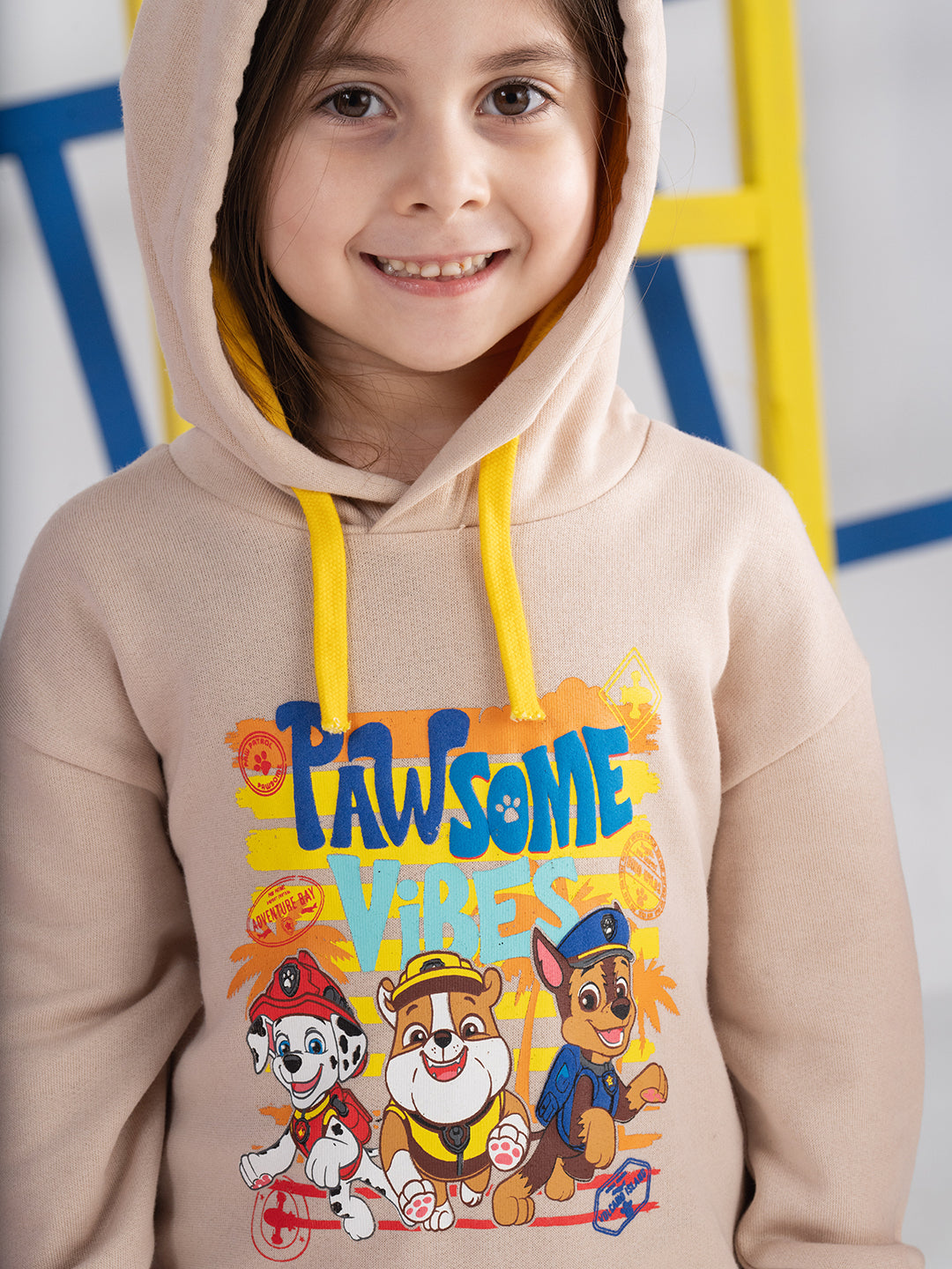 Paw Patrol Puff Printed Hoodie