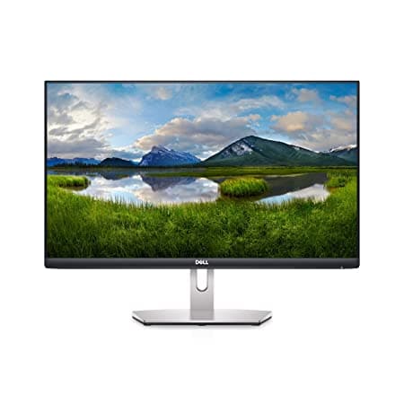 DELL S2421HN 24 Inch FHD 75Hz IPS Panel 99%SRGB 4MS AMD Freesync Monitor