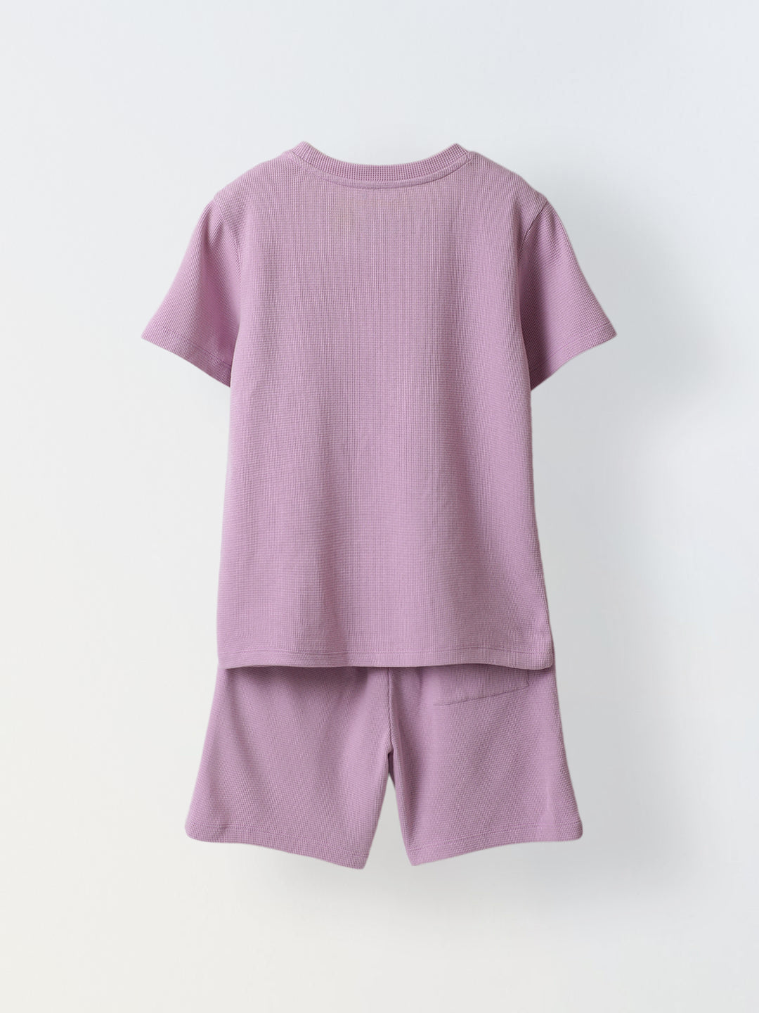 Lilac T-shirt and Shorts Set