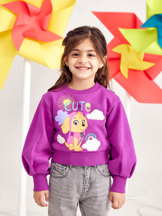 Designer Embroidered Paw Patrol Sweatshirts