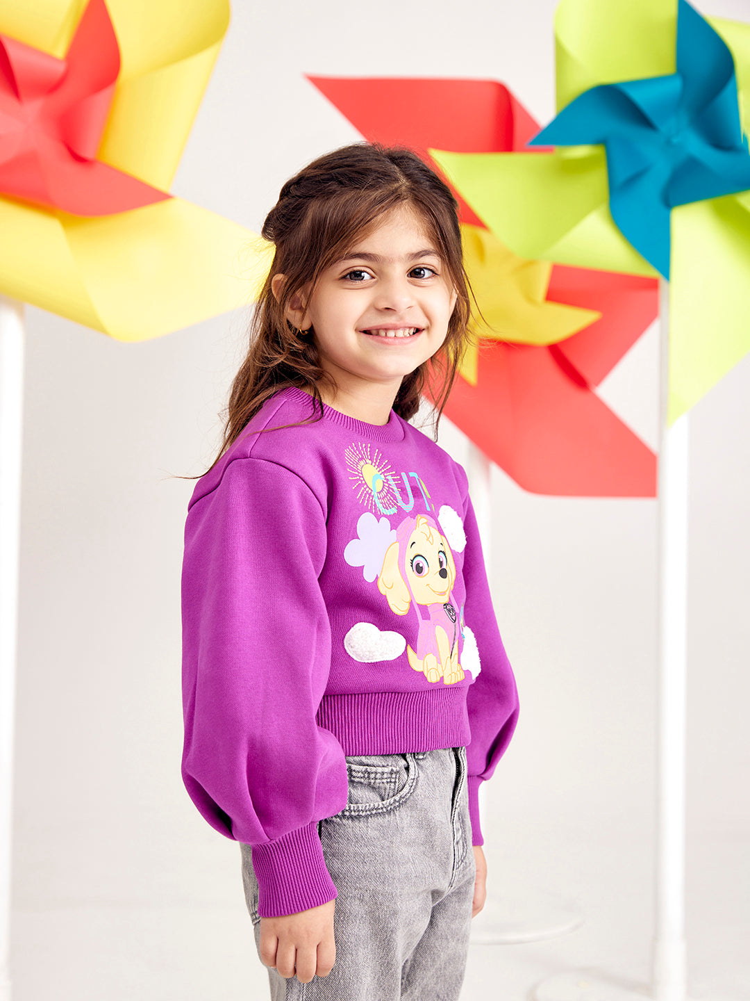 Designer Embroidered Paw Patrol Sweatshirts