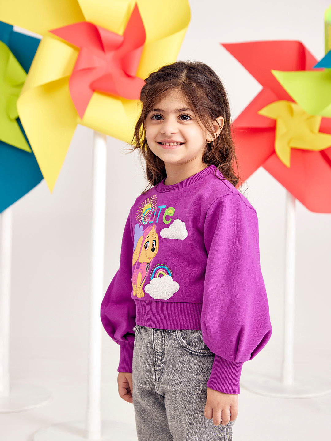 Designer Embroidered Paw Patrol Sweatshirts