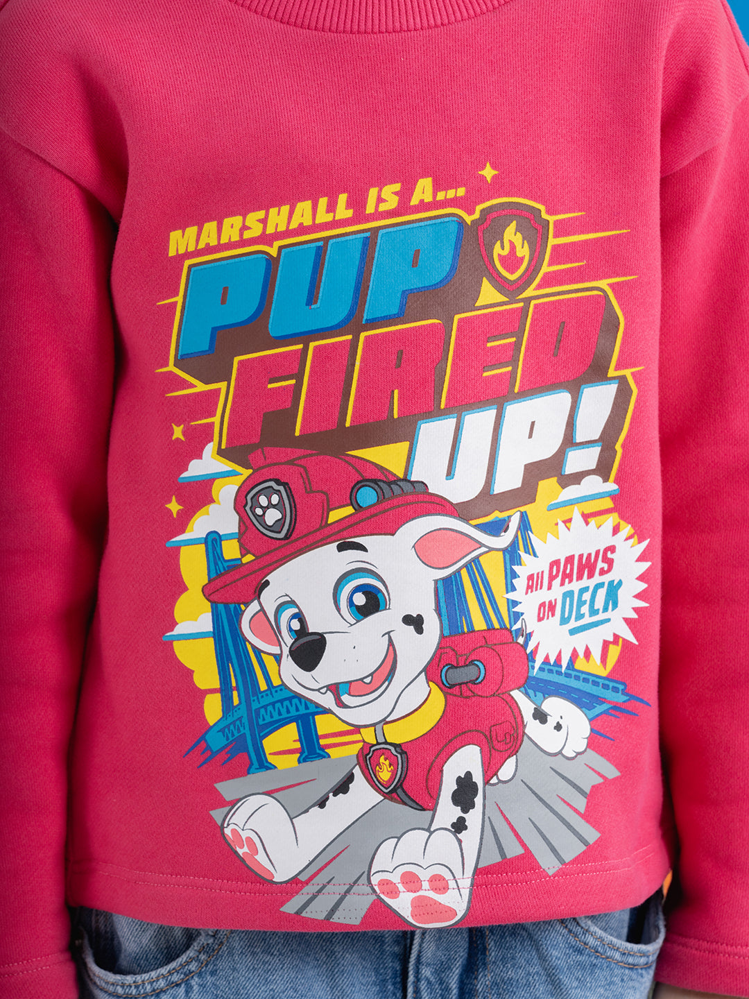 Chest Printed Paw Patrol Pink Sweatshirts