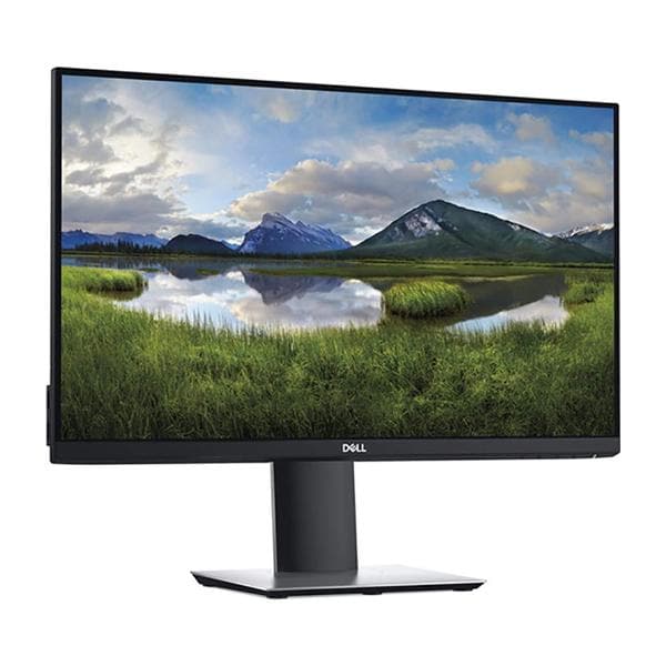 DELL P2419H 24 Inch FHD 60Hz IPS Panel 5MS Professional Monitor