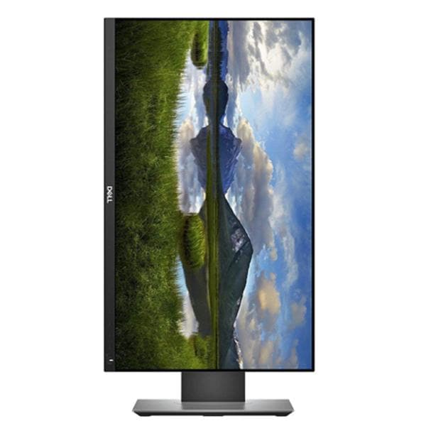 DELL P2419H 24 Inch FHD 60Hz IPS Panel 5MS Professional Monitor